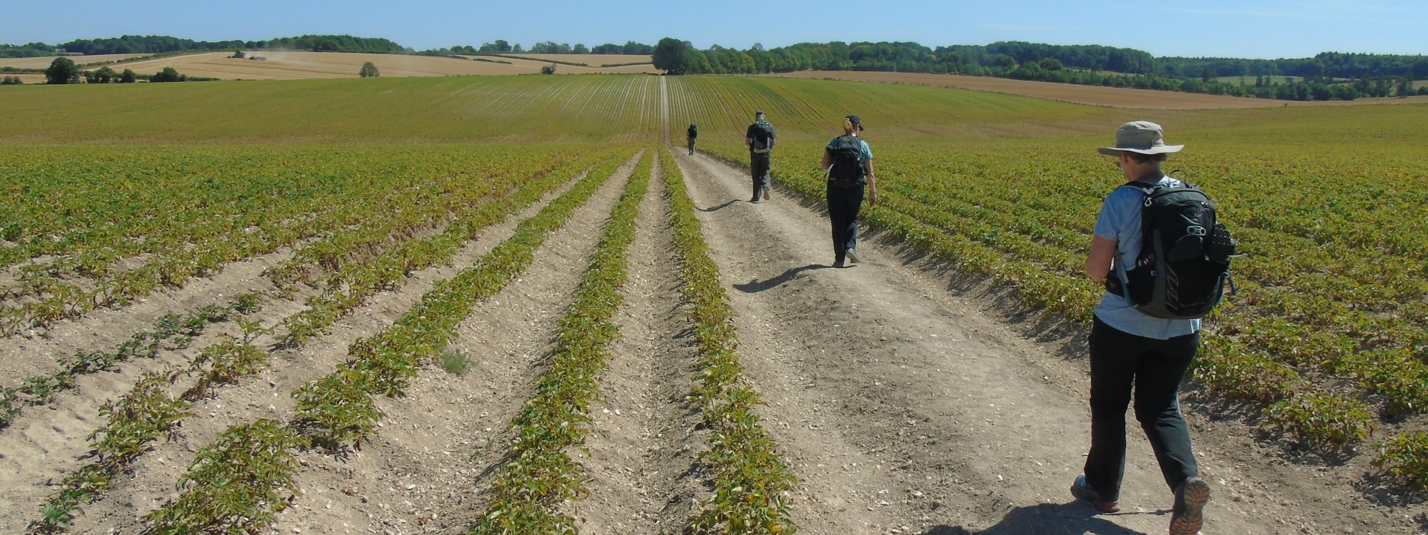 Pilgrimage Walks*Ancient Paths & Transformative Journeys*Discover